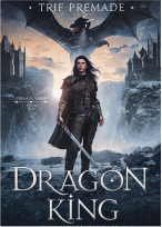 Virtual Book Writing